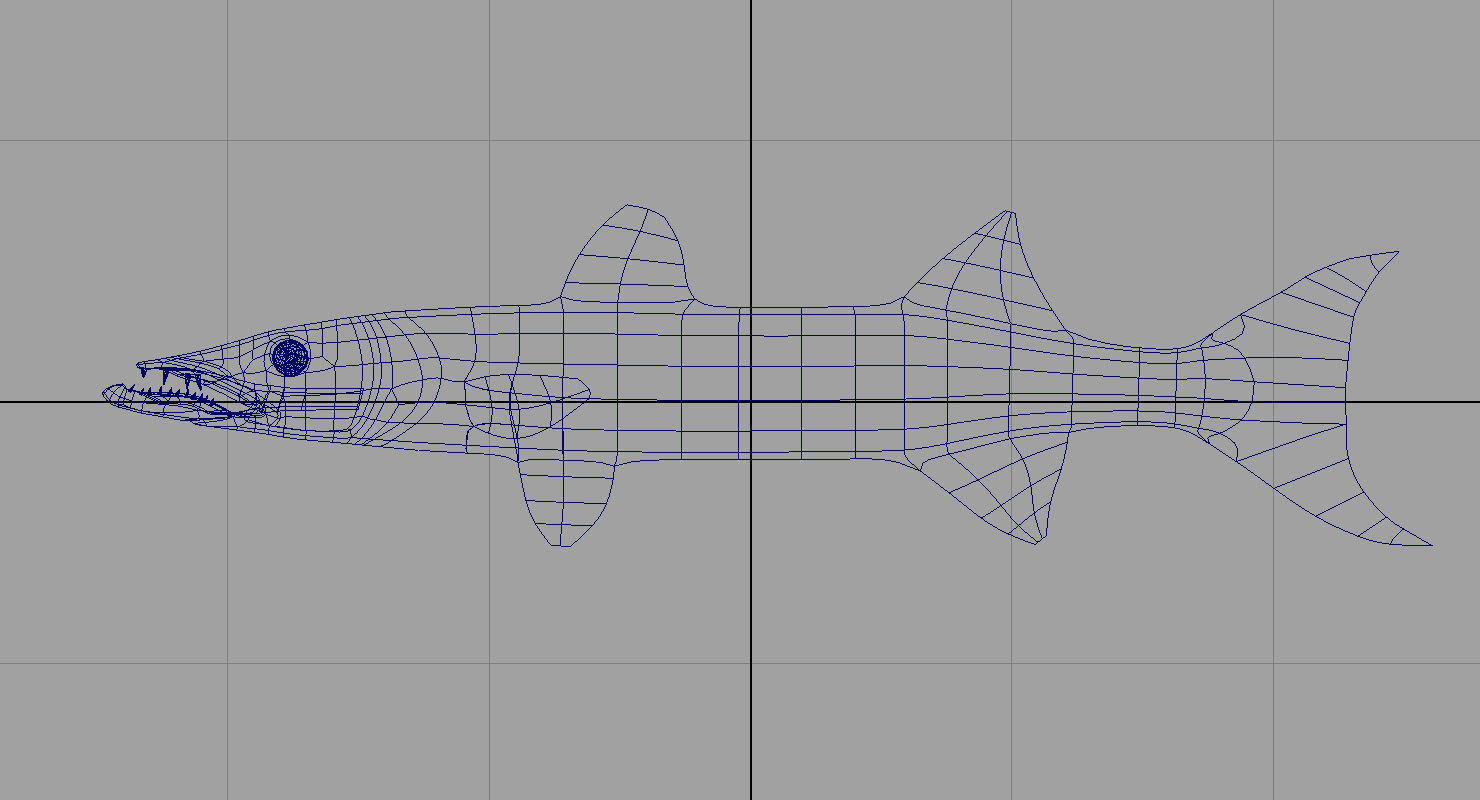 barracuda fish 3d model 3D model_3