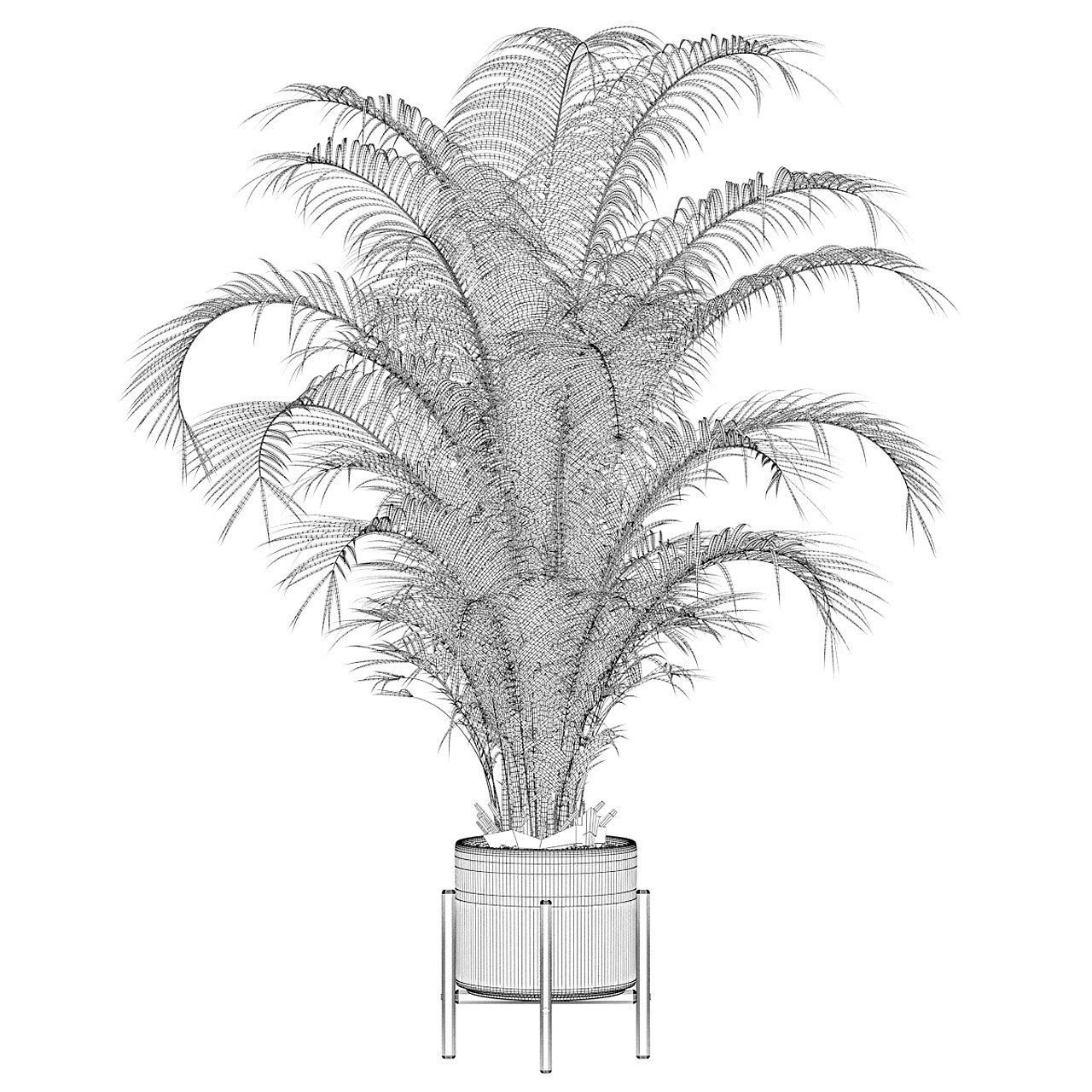 Areca palm in modern pot 3D model_2