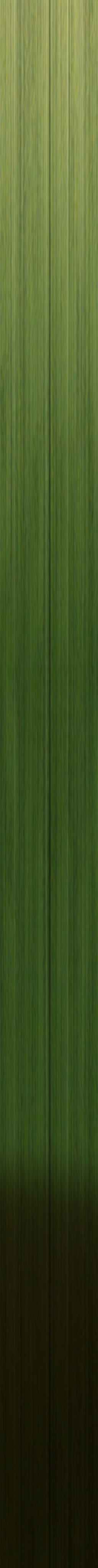 Chamaerops palm 3D model_10