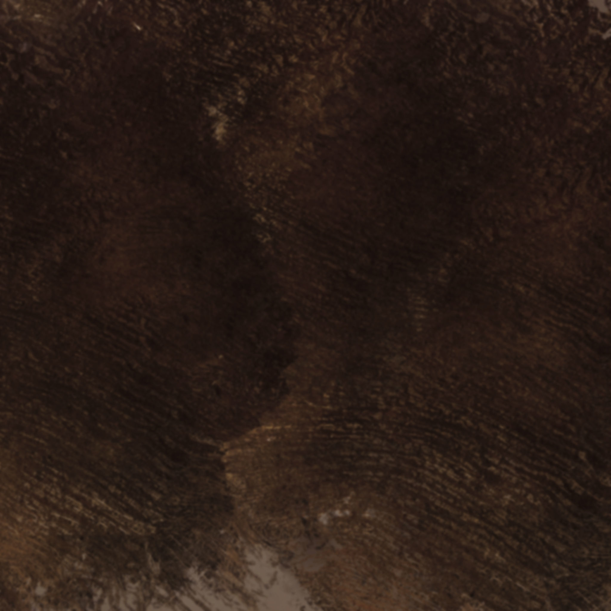 Chamaerops palm 3D model_13