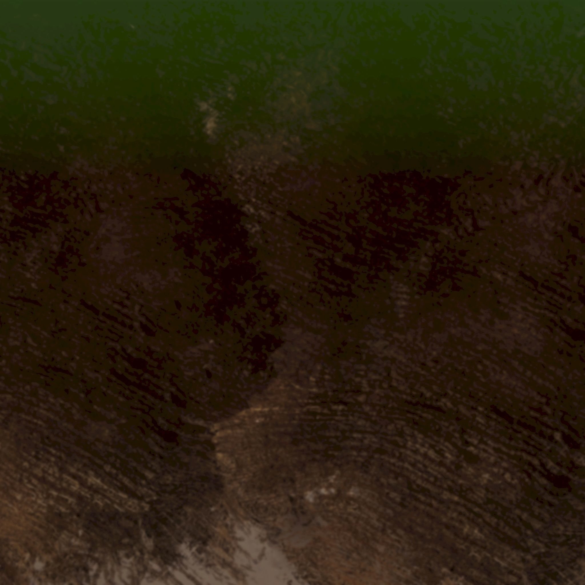 Chamaerops palm 3D model_17