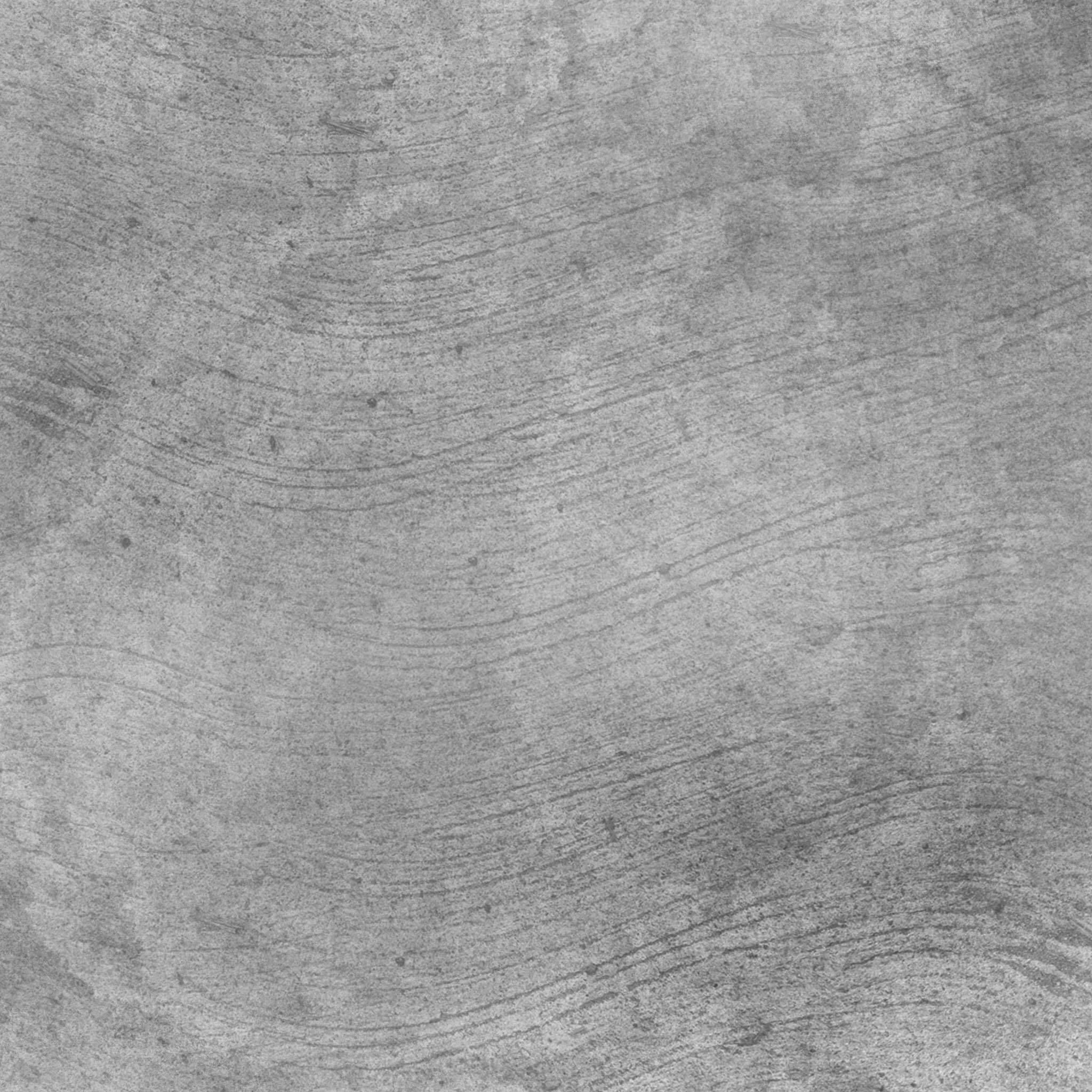 Chamaerops palm 3D model_14