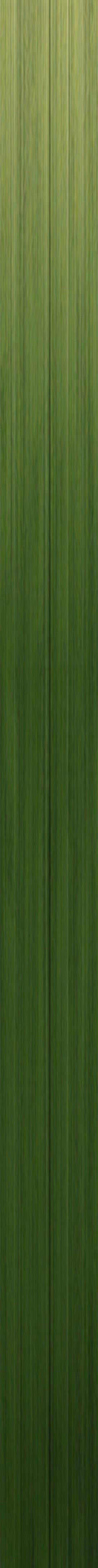 Chamaerops palm 3D model_9