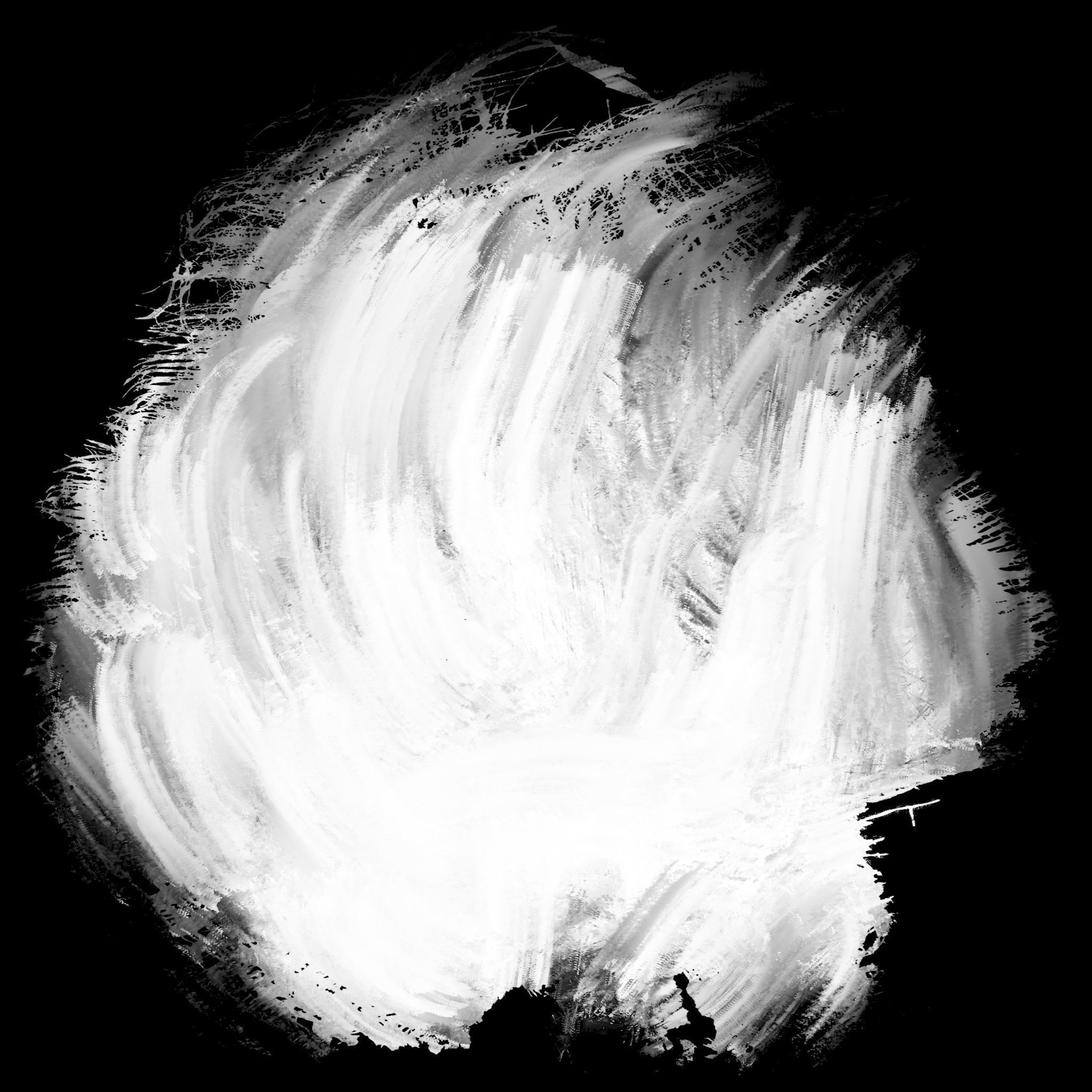 Chamaerops palm 3D model_12