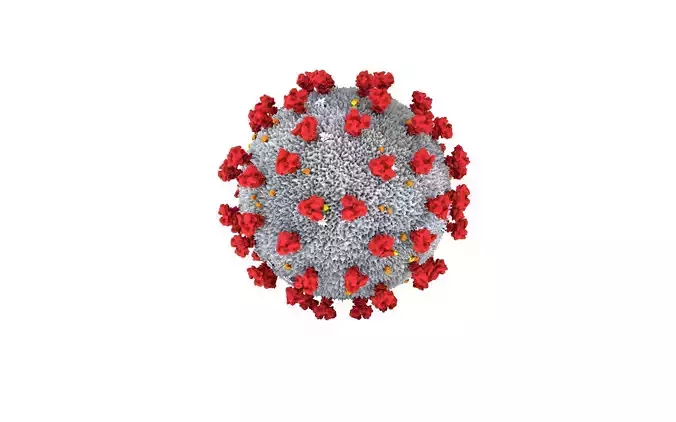 covid19 coronavirus