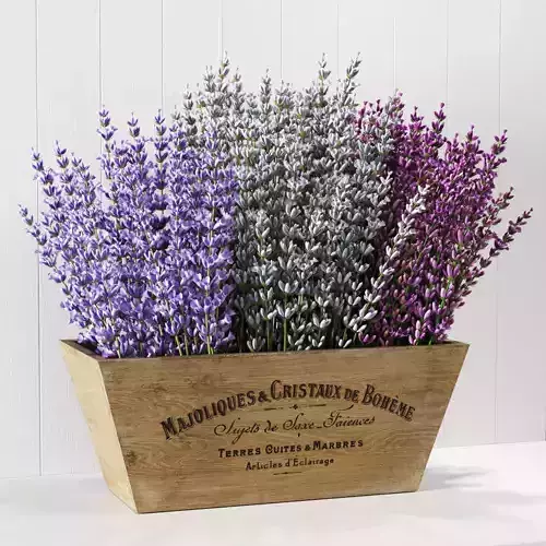 Lavender faux in wooden box
