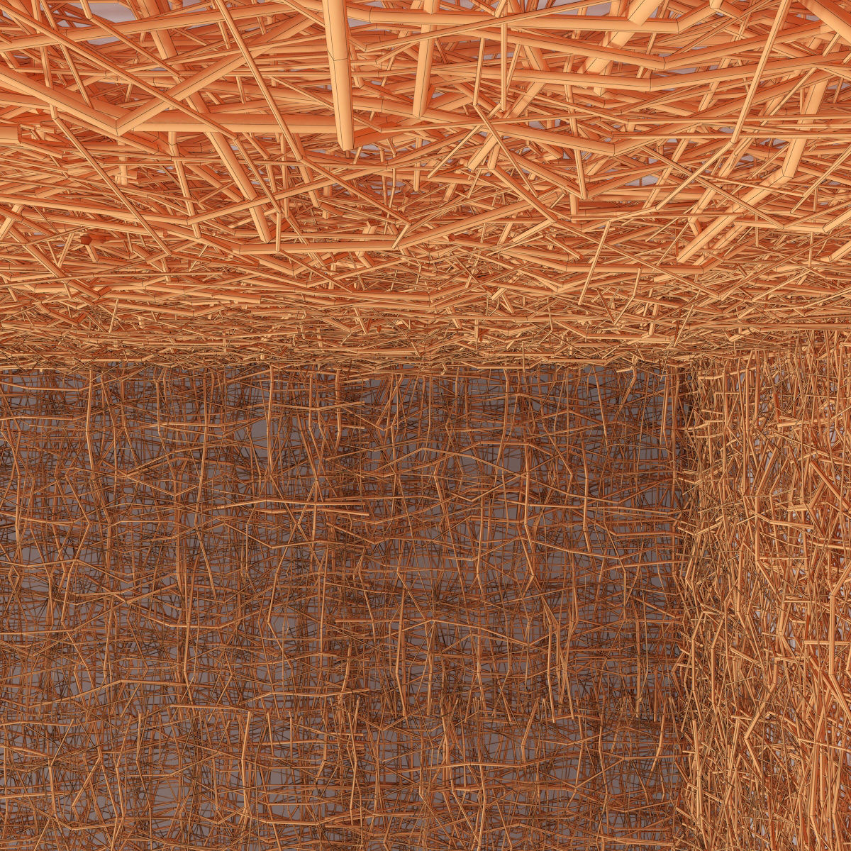 Ceiling canopy branch thin crooked n2 3D model_12