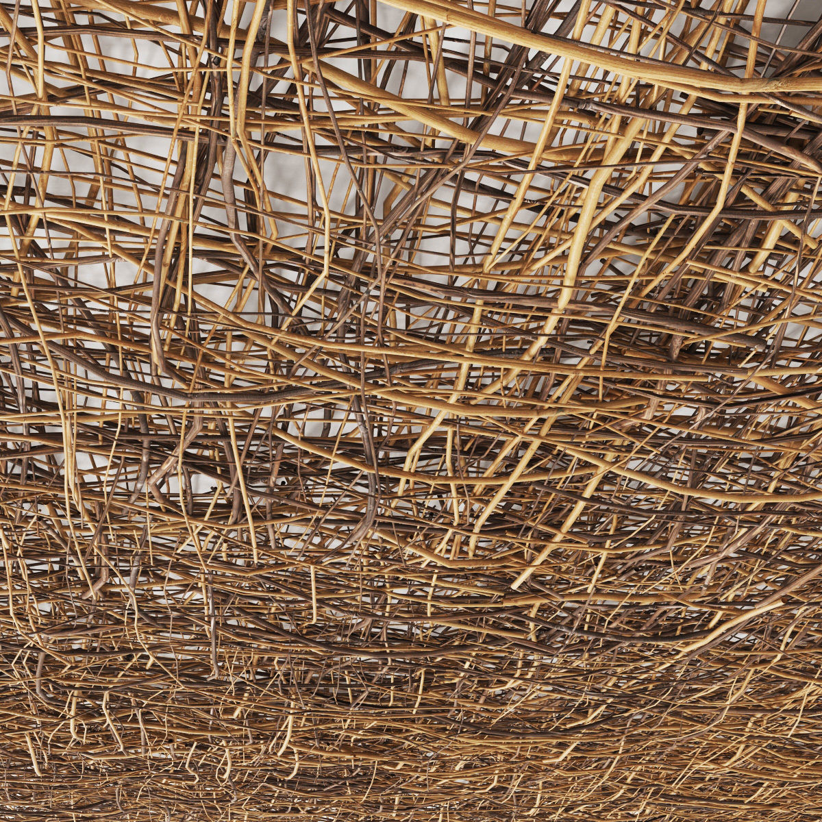 Ceiling canopy branch thin crooked n2 3D model_7