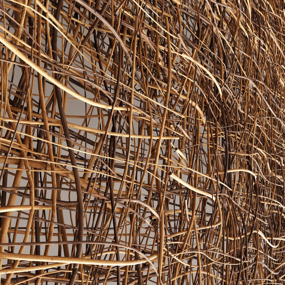 Ceiling canopy branch thin crooked n2 3D model_9