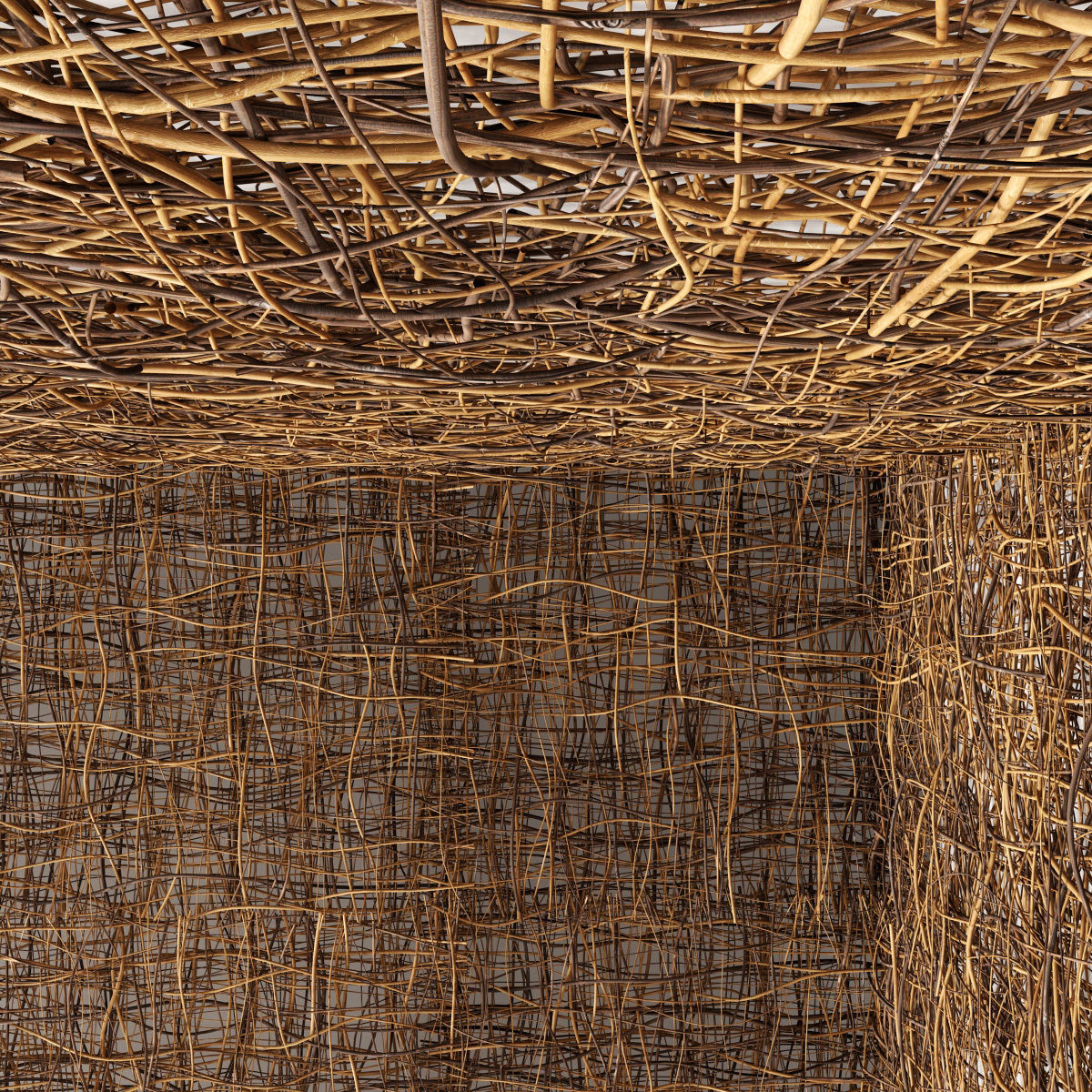 Ceiling canopy branch thin crooked n2 3D model_4