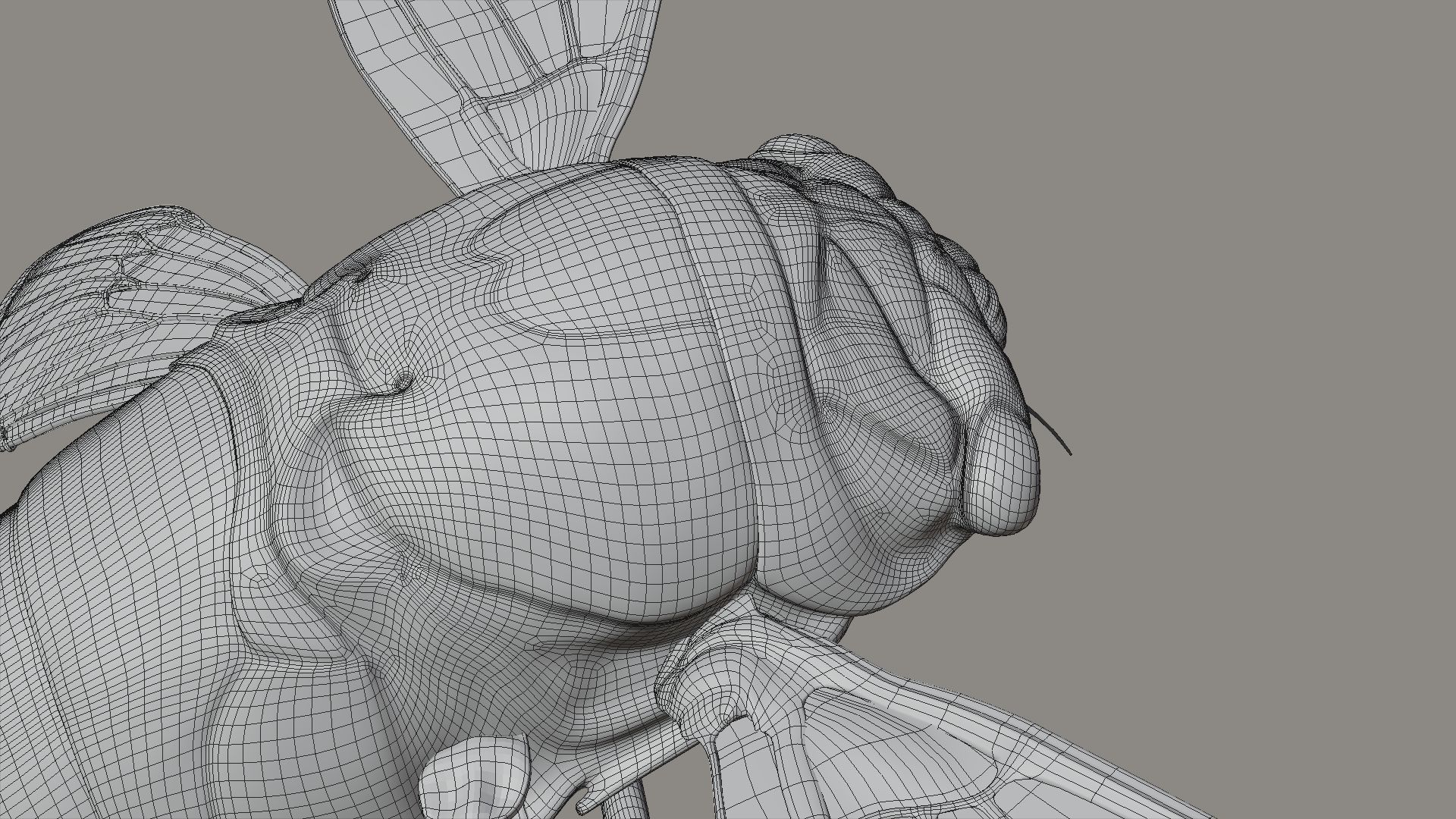 Cicada Animated 3D model_34