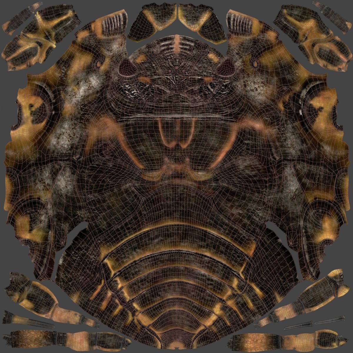 Cicada Animated 3D model_42