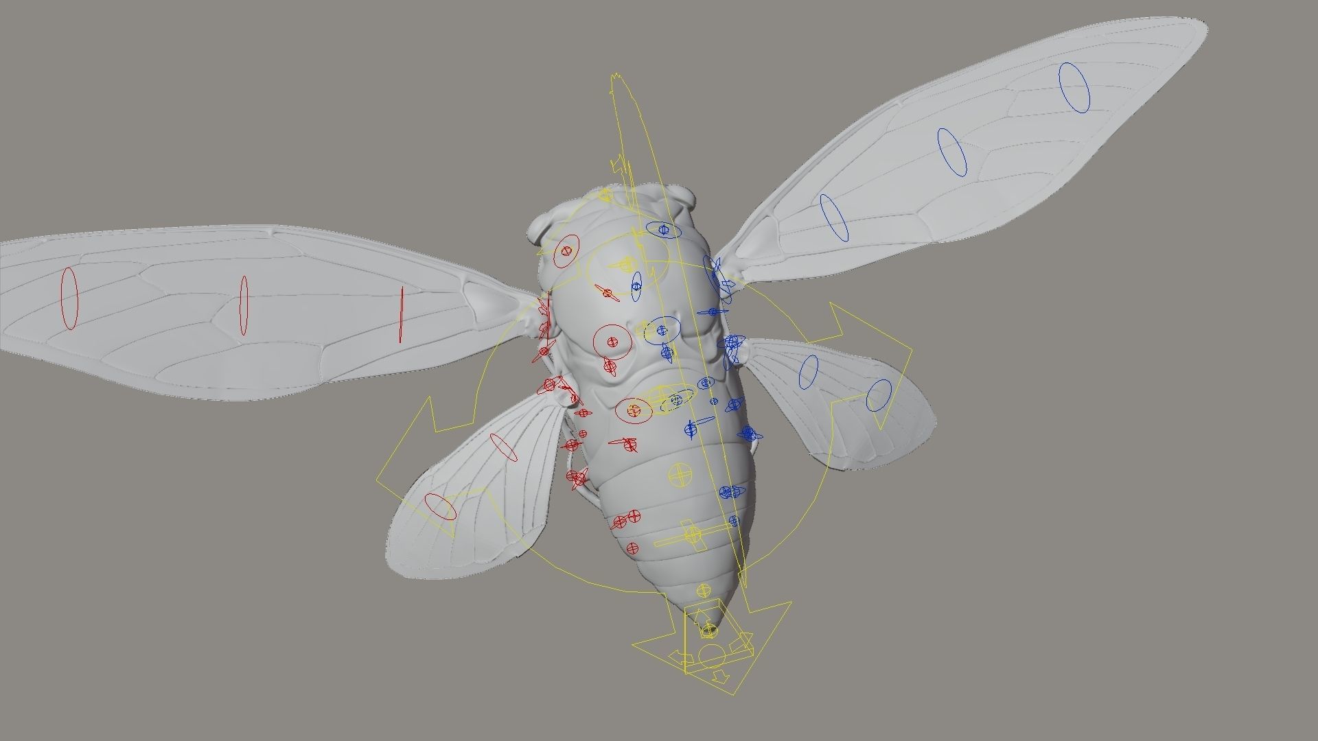 Cicada Animated 3D model_22