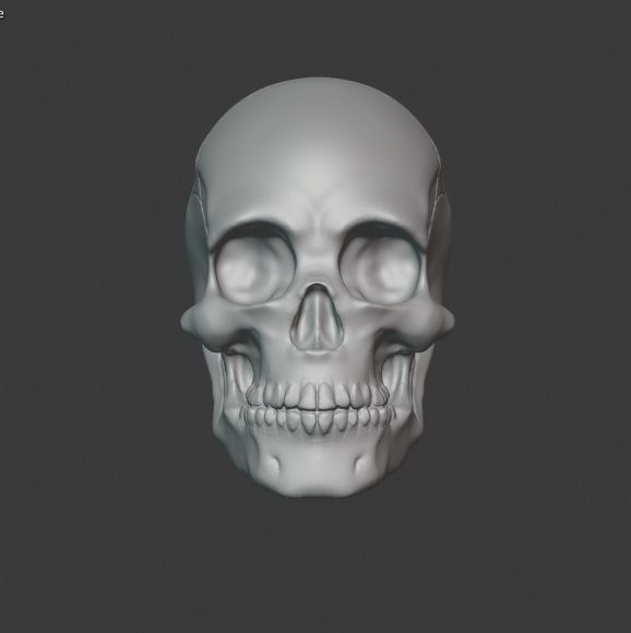 Skull human 3D print model_2