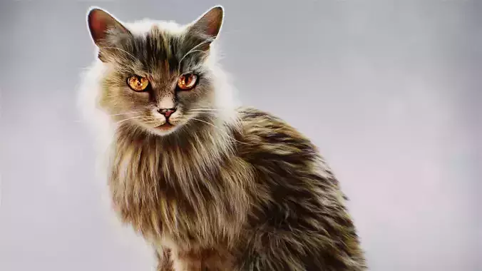 Custom License Hyper Realistic Cat model with Fur and shaders 3D model