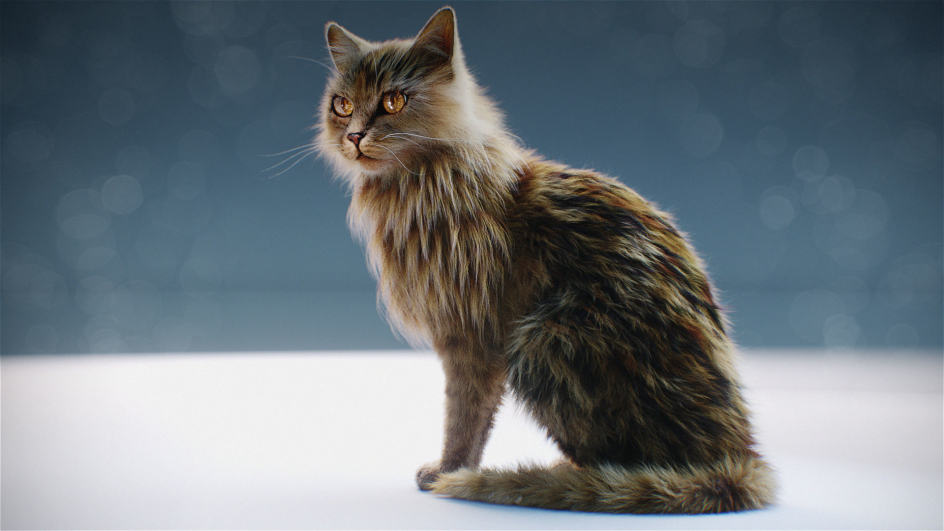 Custom License Hyper Realistic Cat model with Fur and shaders 3D model_1