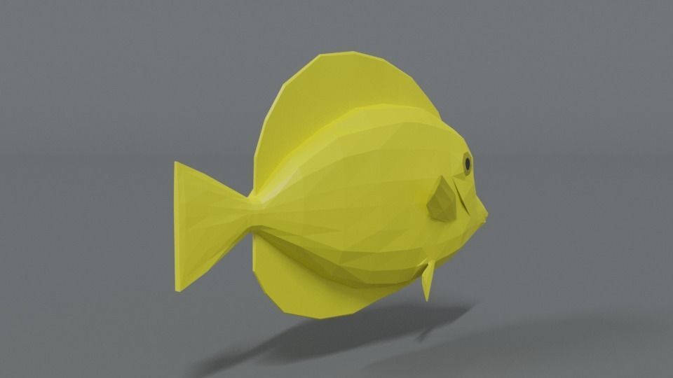 Low Poly Cartoon Yellow Tang Fish Low-poly 3D model_4