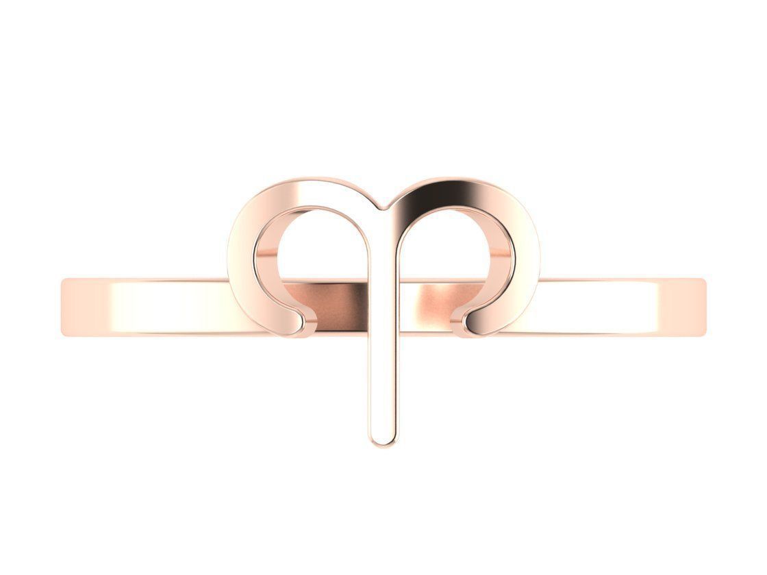 12 rings in the form of zodiac signs 3D print model_3