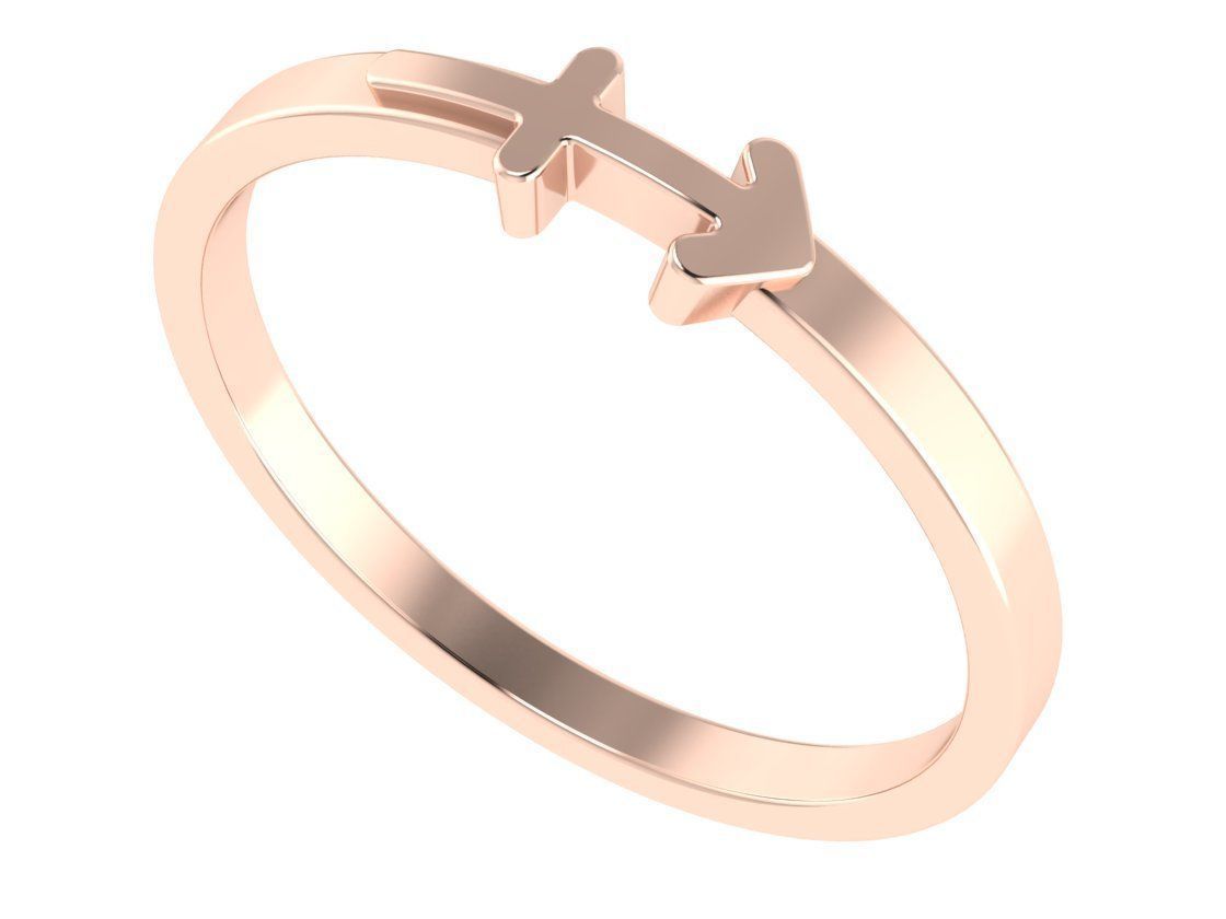 12 rings in the form of zodiac signs 3D print model_17