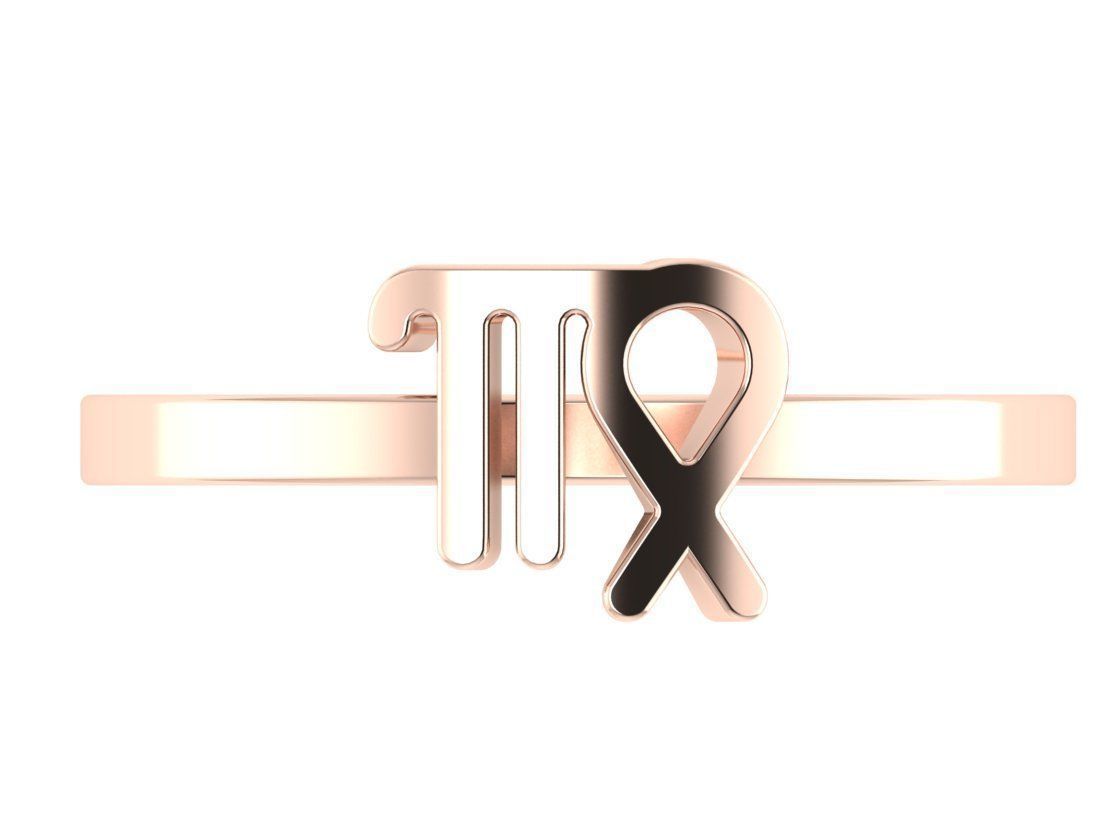 12 rings in the form of zodiac signs 3D print model_88