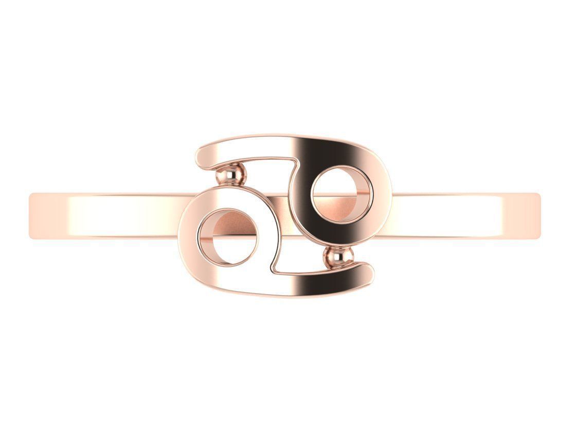 12 rings in the form of zodiac signs 3D print model_5