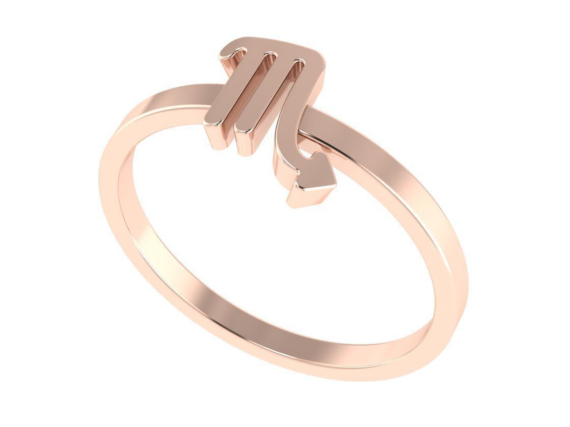 12 rings in the form of zodiac signs 3D print model_70