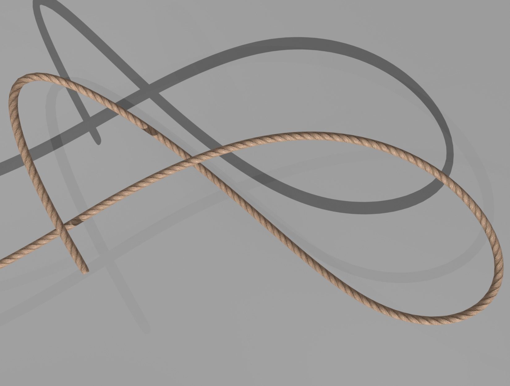 ROPE rigged Low-poly 3D model_13