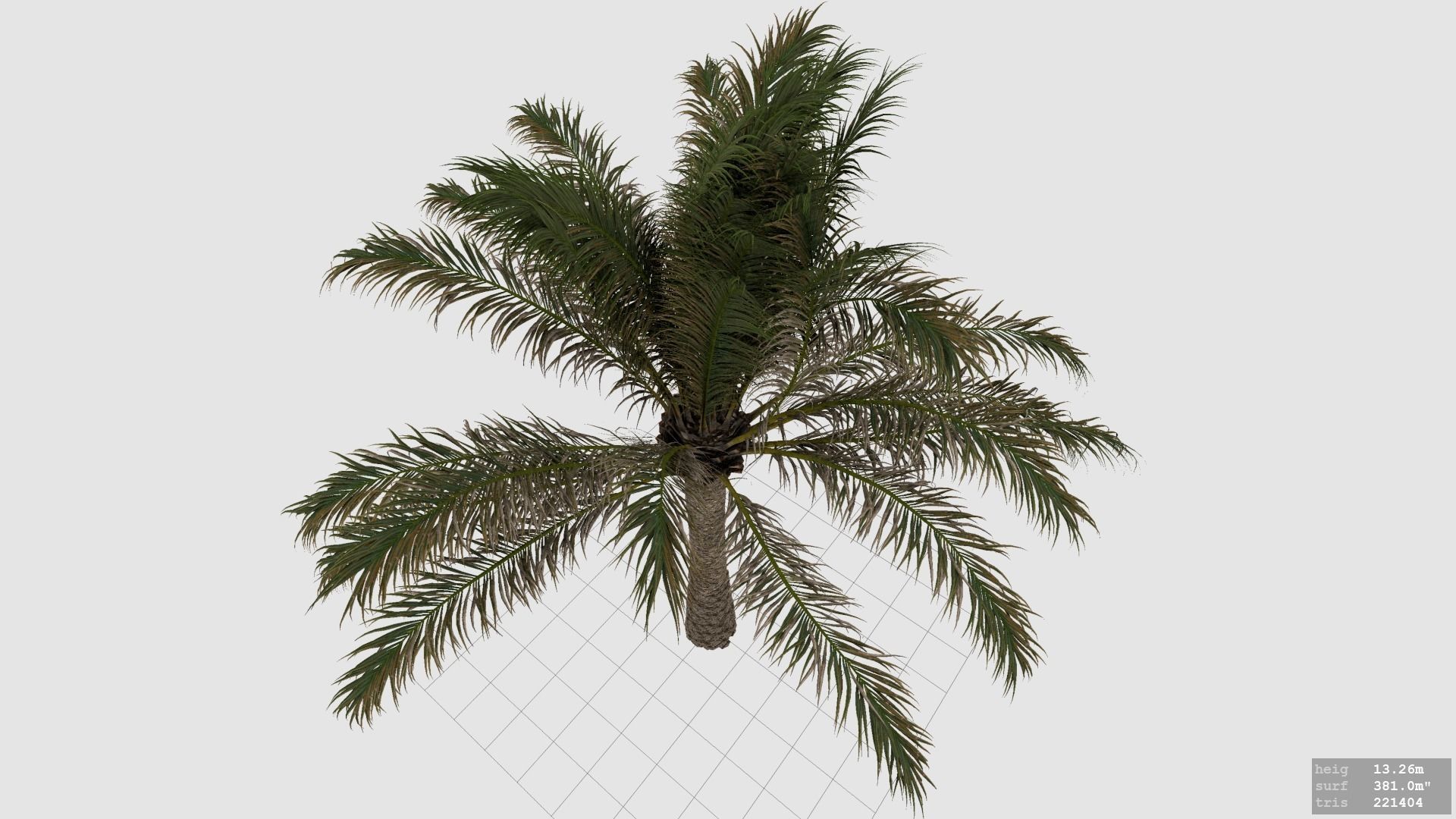 Palm Tree - Pineapple Palm - Phoenix Canariensis 3D model_2