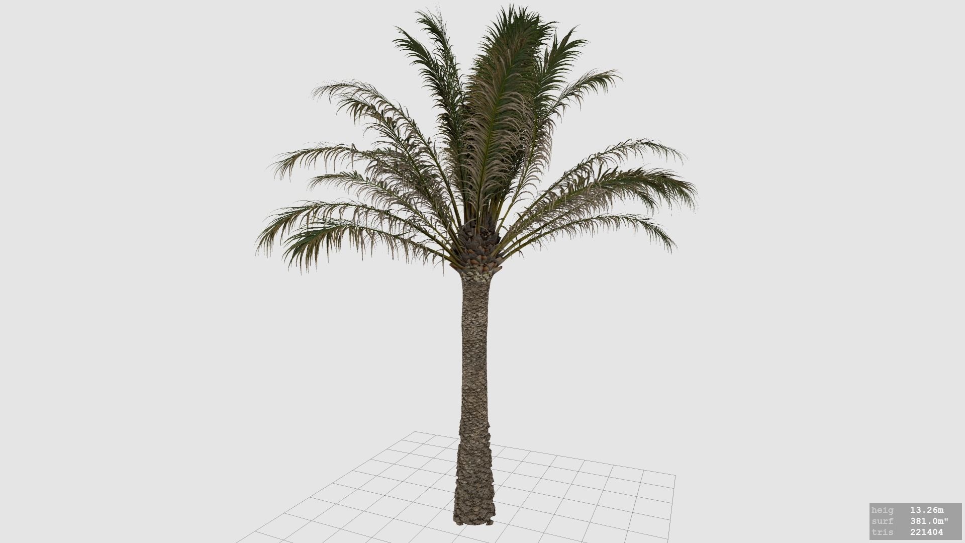 Palm Tree - Pineapple Palm - Phoenix Canariensis 3D model_8