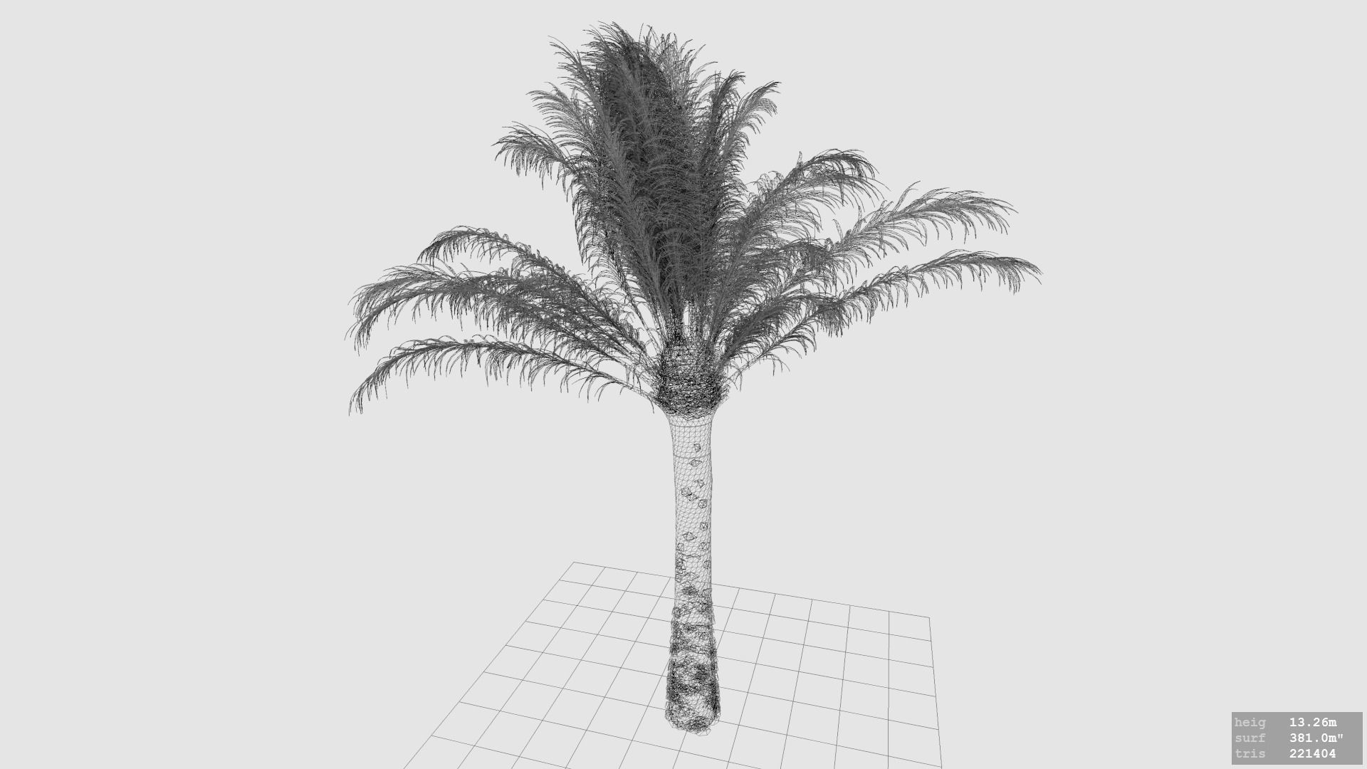 Palm Tree - Pineapple Palm - Phoenix Canariensis 3D model_4