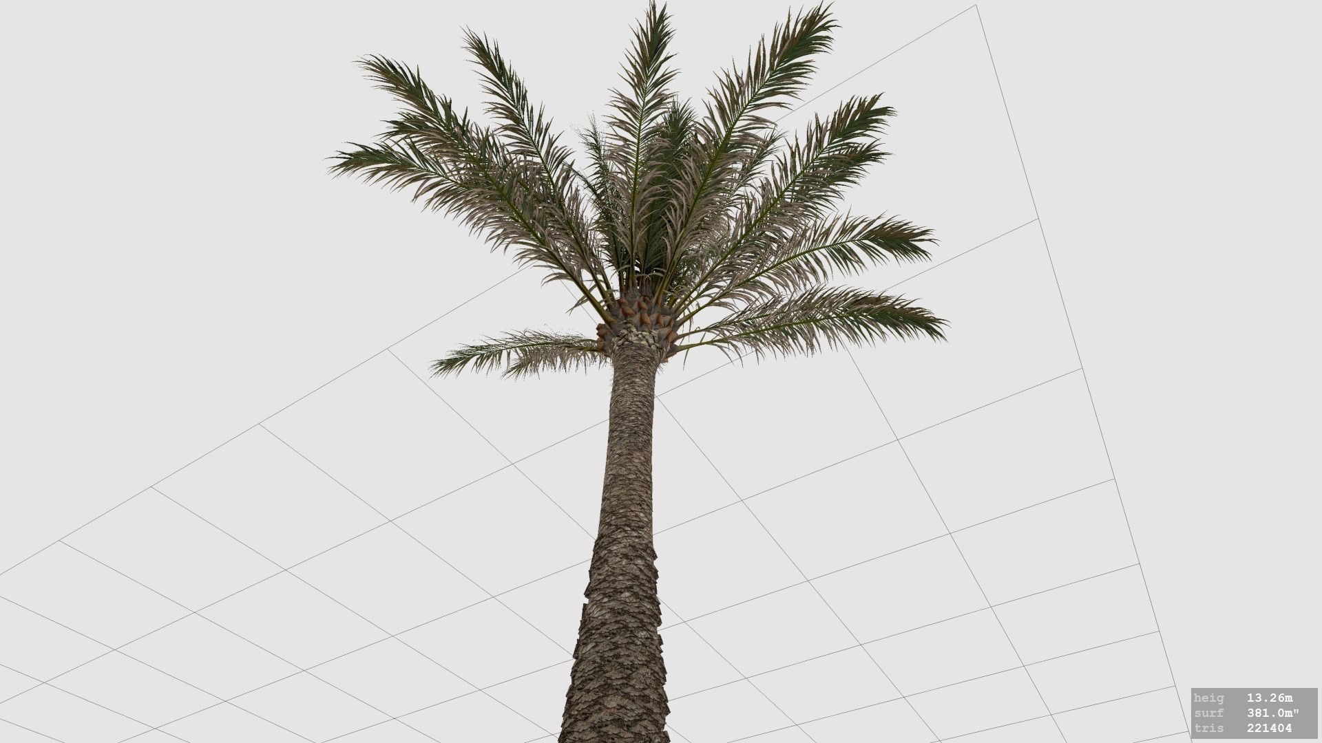 Palm Tree - Pineapple Palm - Phoenix Canariensis 3D model_1