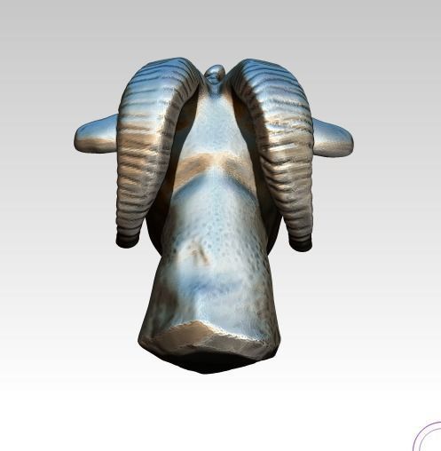 Realistic Detailed Highpoly Goat bust  3D print model_2