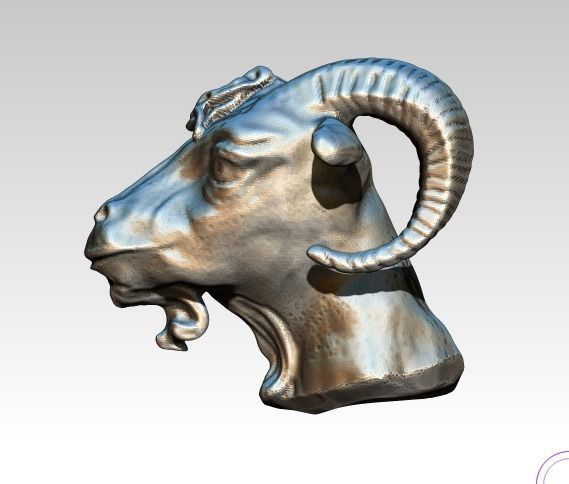 Realistic Detailed Highpoly Goat bust  3D print model_1