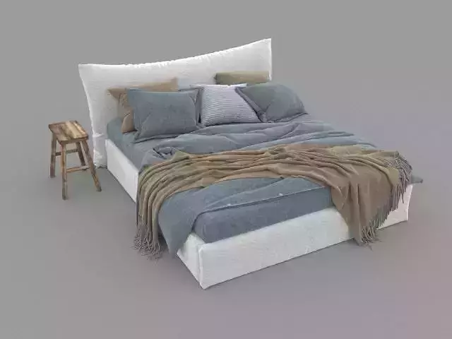Cushion Bed