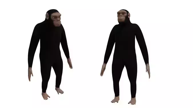 Rigged Ape