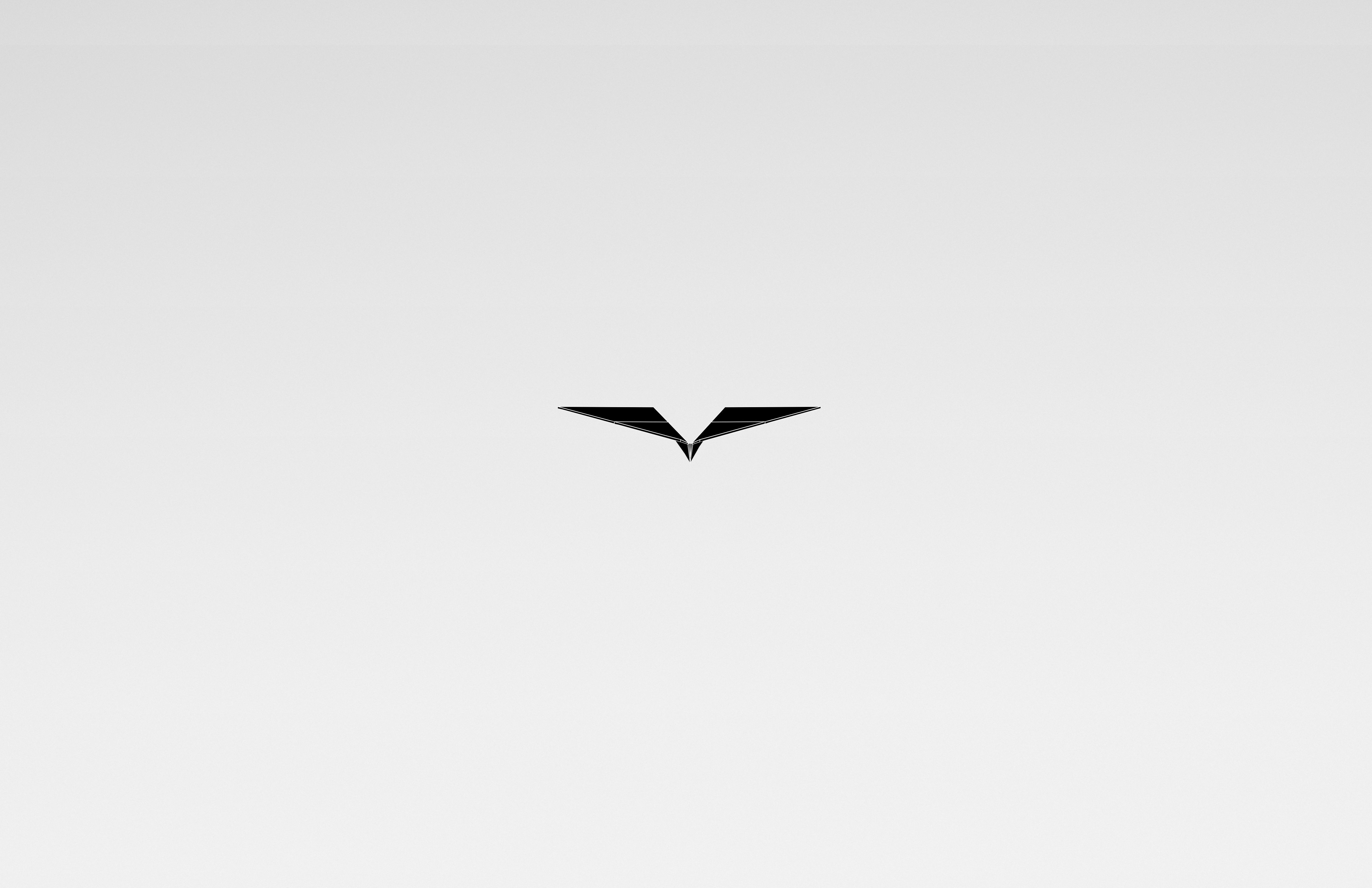 Paper Plane v1 011 Low-poly 3D model_5