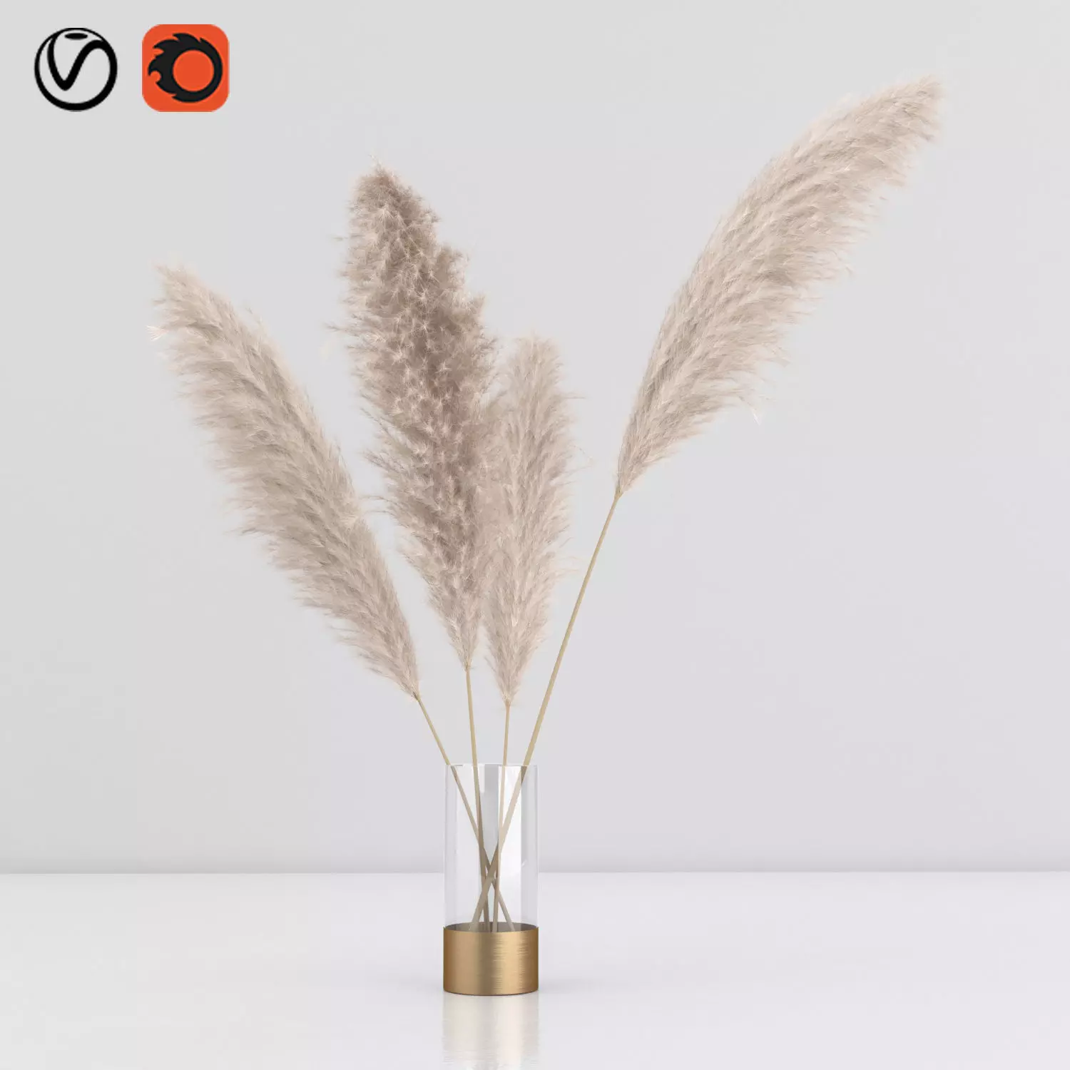 pampas in vase 01 3D model