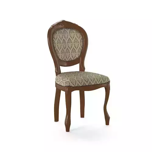 Antique Dining Chair