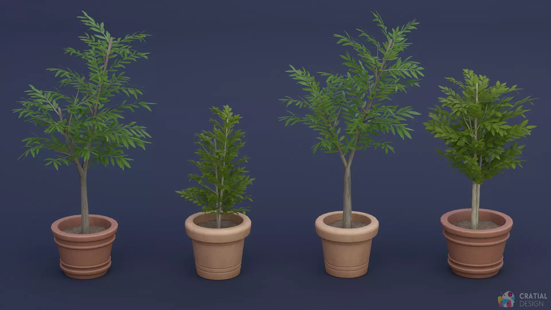 Stylized Potted Plant and Foliage Collection Free 3D model_2