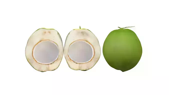 lowpoly coconut fruit