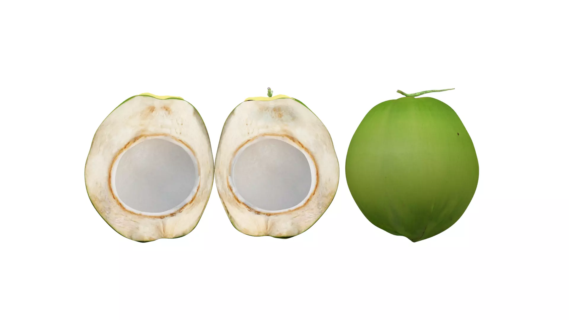 lowpoly coconut fruit 3D model