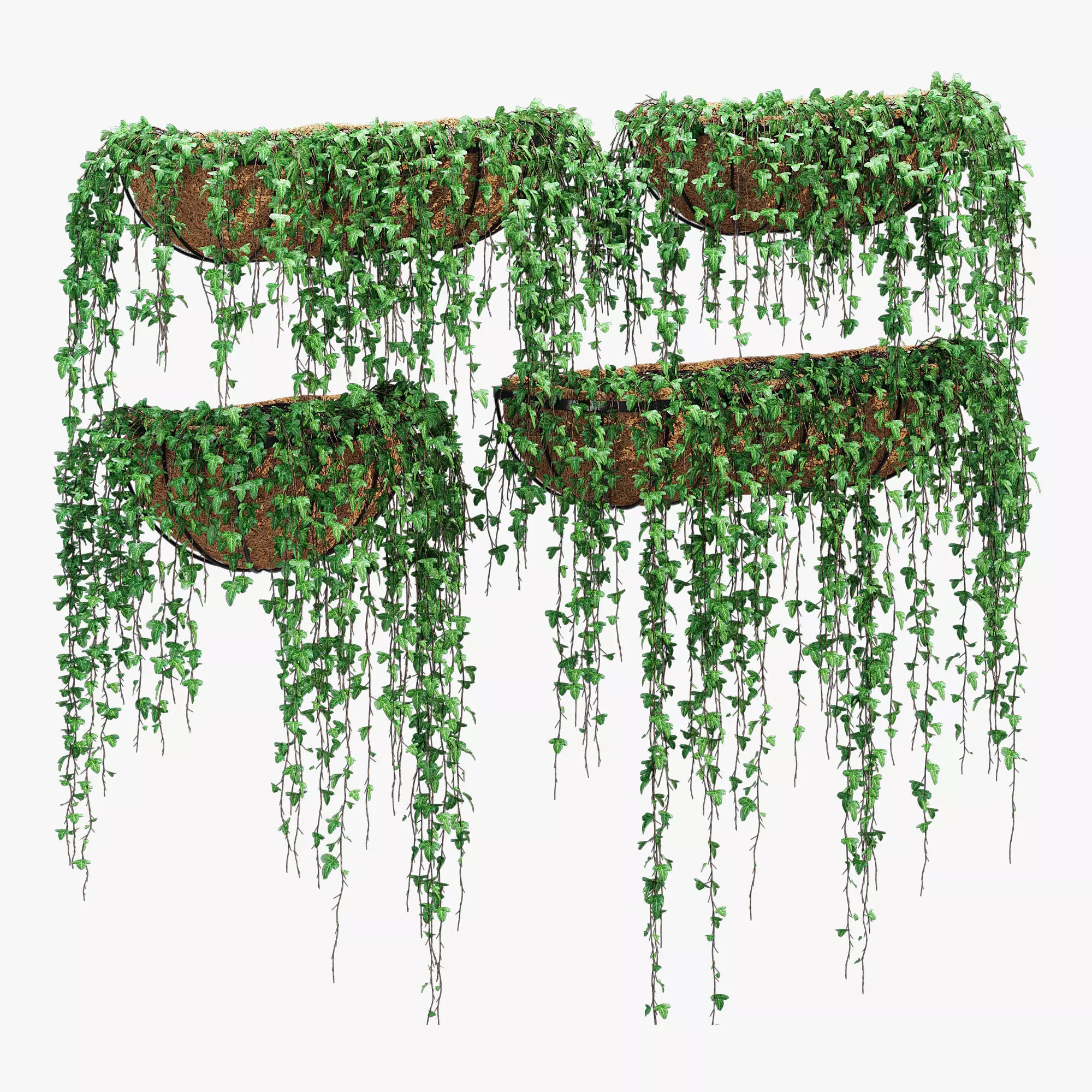 Wire wall ivy 3D model
