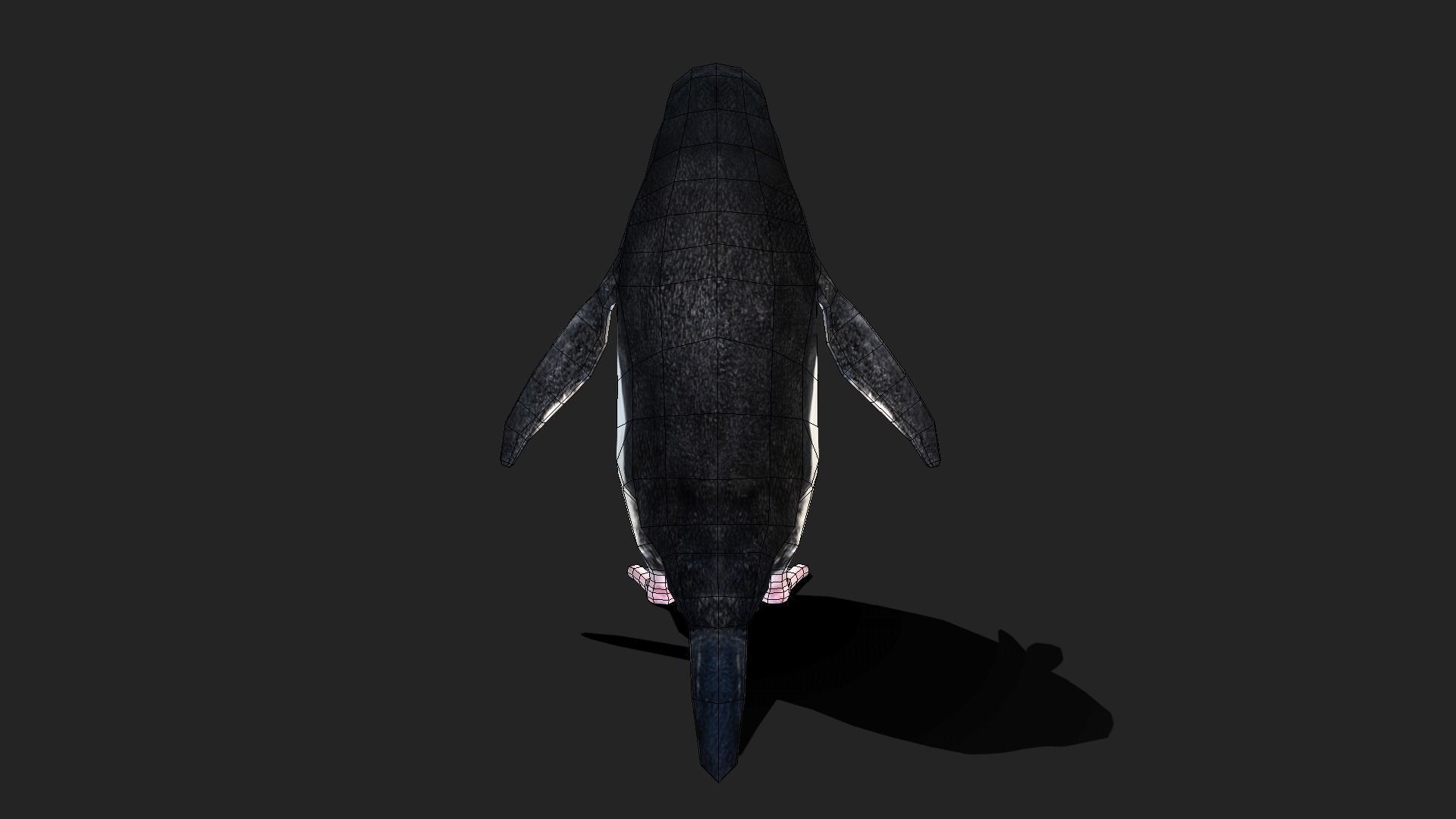 Chinstrap Penguin - Animated Low-poly 3D model_14