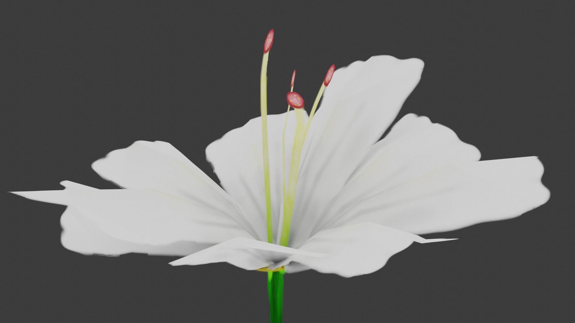 White Flower Low-poly 3D model_3