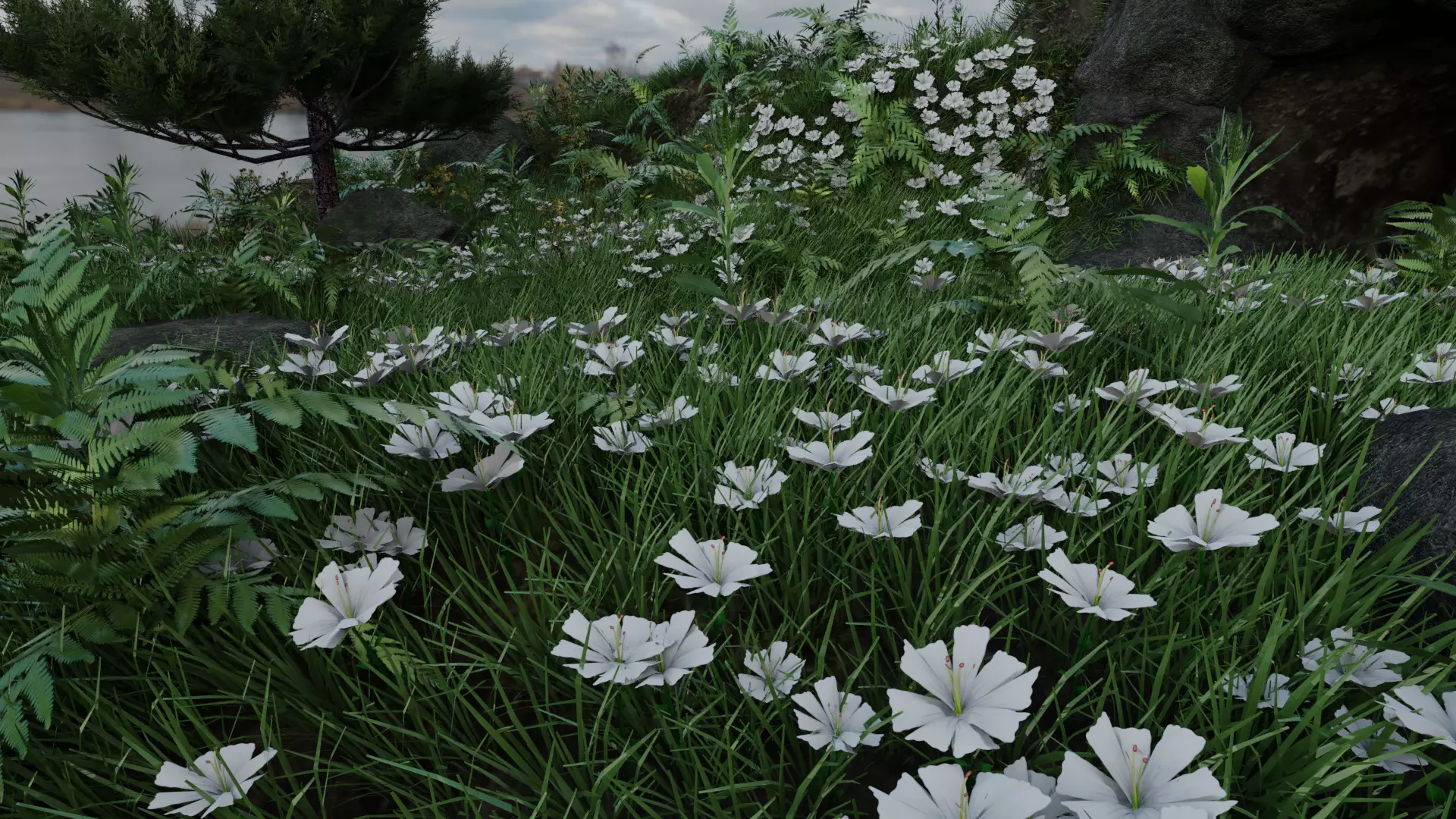 White Flower Low-poly 3D model_0