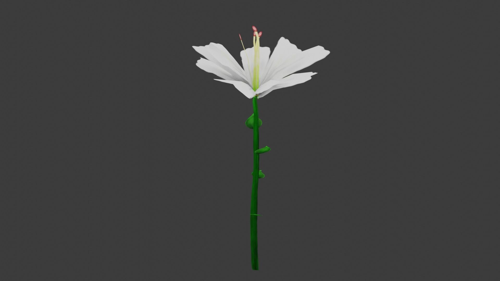 White Flower Low-poly 3D model_1