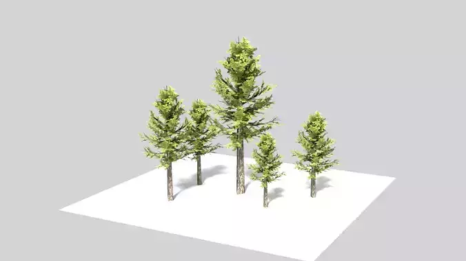 Realistic Tree four pine trees