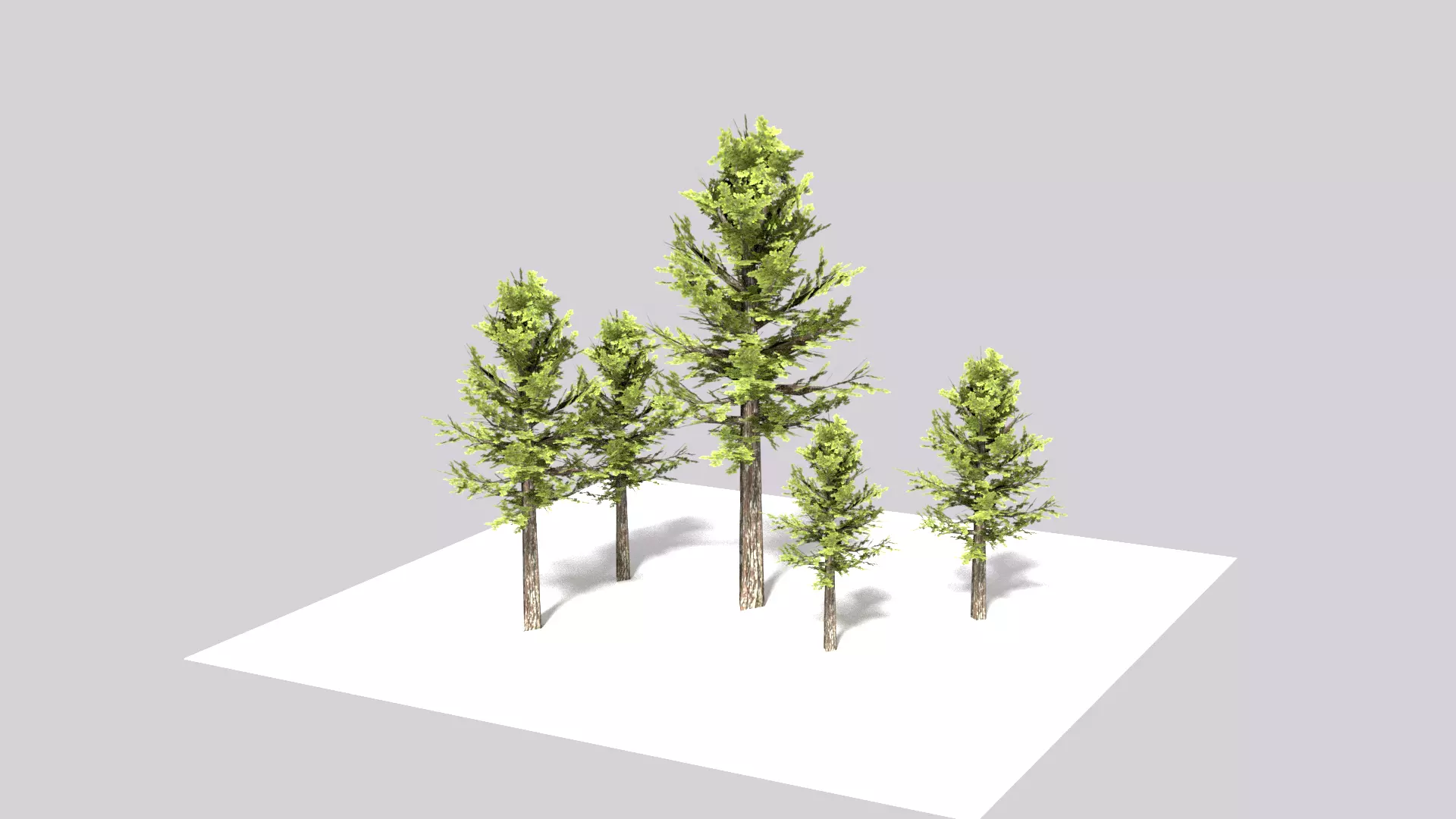 Realistic Tree four pine trees Free 3D model