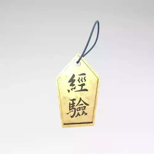 Experience Token v1 003