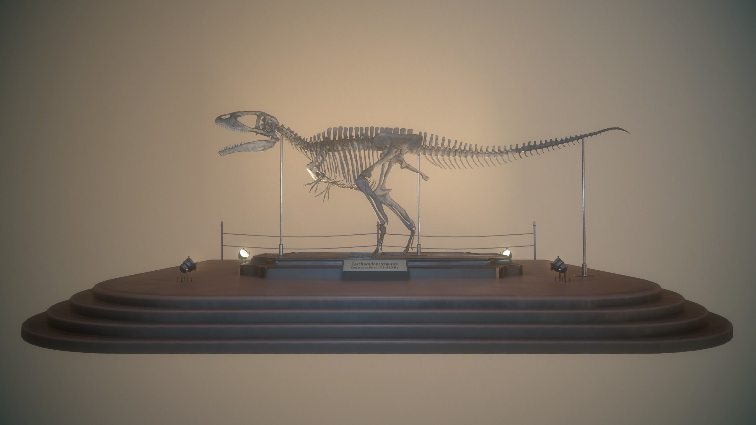 Carcharodontosaurus Skeleton 3D model_9